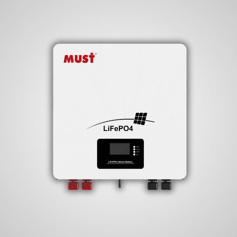 MUST 2.56KWH 100AH LITHIUM 24V BATT + IN BUILT WIFI - Truly Solar